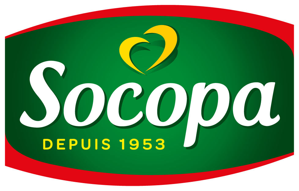 Socopa